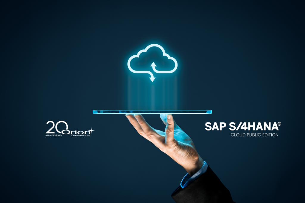 sap s/4hana cloud public edition